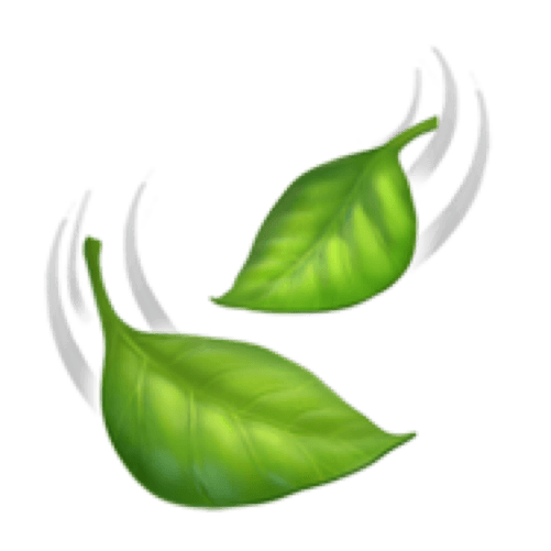 Benefit Icon